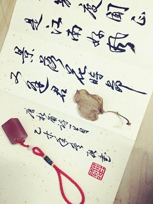 最经典的《落花时节又逢君》好段摘抄