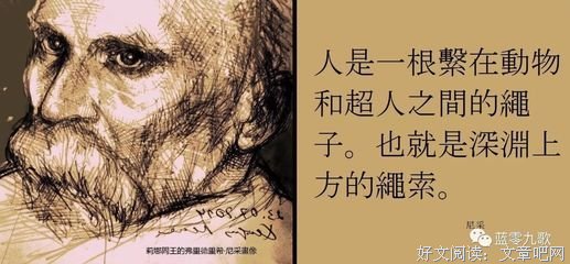 最全的《追寻生命的意义》经典的句子