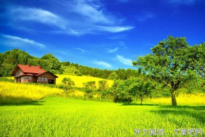 最全的《因为懂得所以慈悲》经典名句