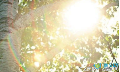 《小四之家励志语录》好段摘抄