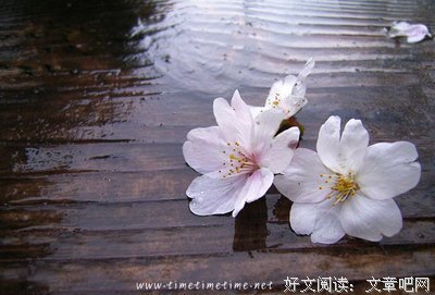 《我等你到三十五岁》经典语录大全