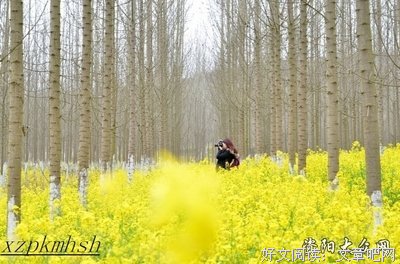 最经典的《生活的另一种美好》经典的句子大全
