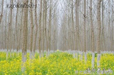 最全的《藏在这世间的美好》经典的句子