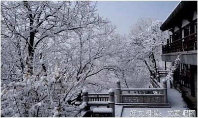 最新的《金刚般若波罗蜜经》经典名句
