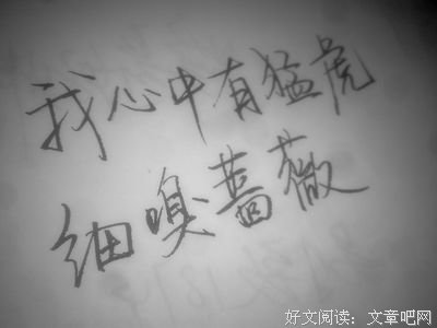 最经典的《陈二狗的妖孽人生》好段摘抄大全