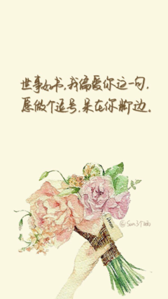 《你若盛开，清风自来》经典句子