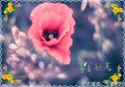 最新的《有美一朵，向晚生香》散文美句大全