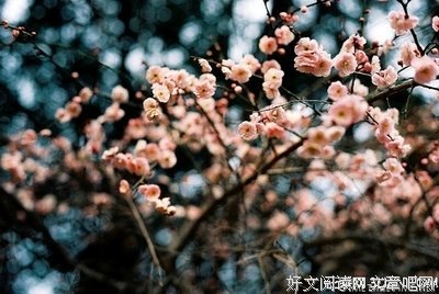 《此时此刻相爱的能力》经典语录