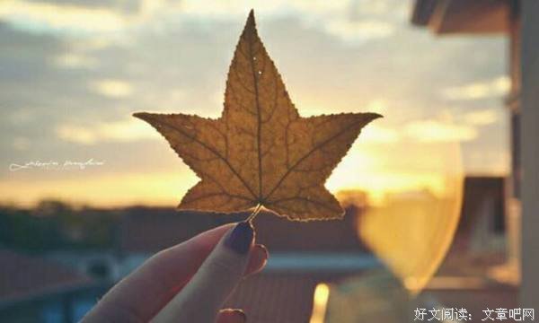 一个人最好的状态，有事做、有人爱、有所期待