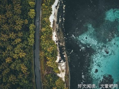 《全国渣女图鉴》