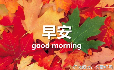 我好的句子