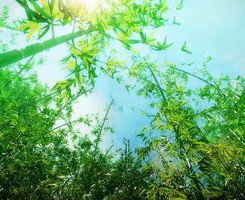 秦时明夫比你种孩里来优美的句子
