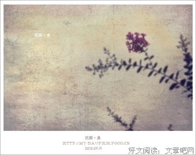 花间集句子大全