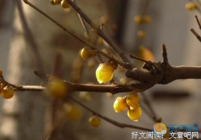 关于简单的我的句子