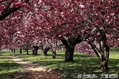 他们来到现场，为了一篇35年前的小说