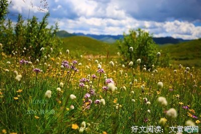 如似我闻名言