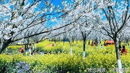 有关云檀名言