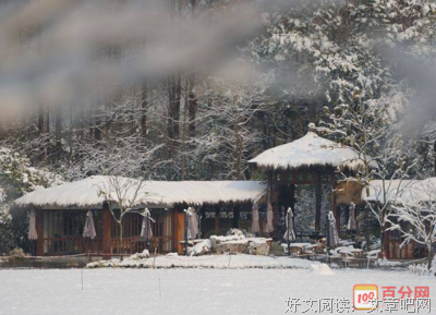 最新的以冬名言