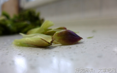 关于刺嫩芽精彩语录