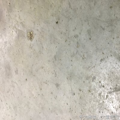 阿Q经典语录