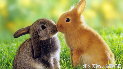 有关Jenny名人名言