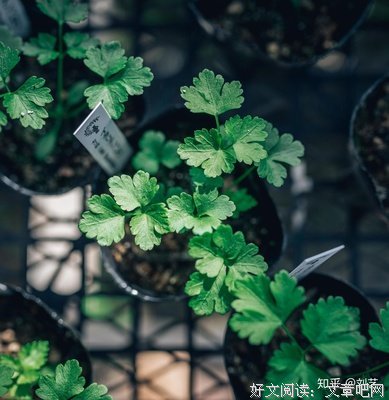 最全的《相逢如初见 回首是一生》好段摘抄