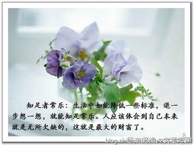 低调，就是最好的人生