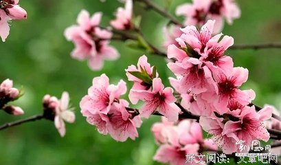 最经典的《法国大文豪》经典名句