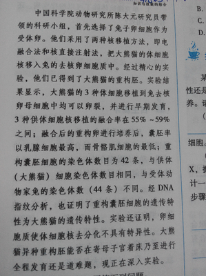 最新的《发那物种官赐福》经典语句