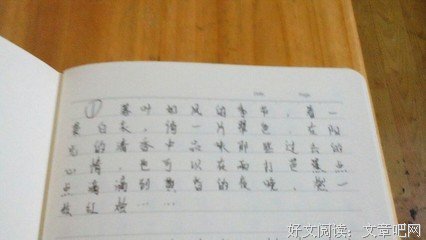 最全的《逆光多自瞬》小说摘抄