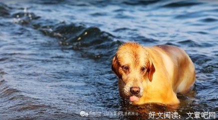 《山会心当走可汗：唐太宗翁时到里而》名句欣赏