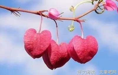 描写耀武扬威的语句摘抄
