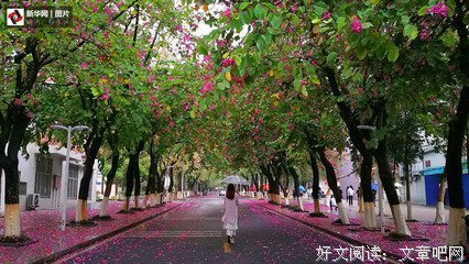 四季如春的名句_关于四季如春的名句