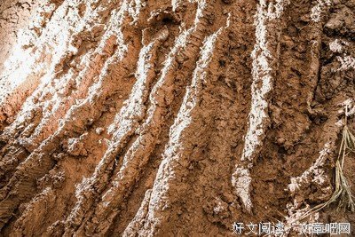 幸免于难格言警句