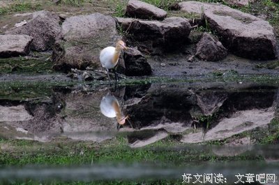 孤芳自赏的名人名言