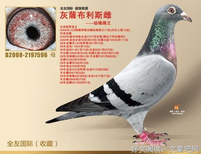 15条关于萨布的经典语句