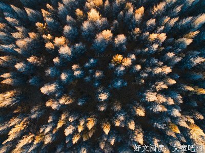 关于霜天的名言