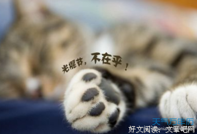 描写山长水阔的经典句子