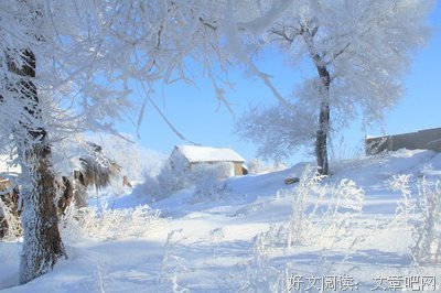 嘎嘎嘎的优美句子