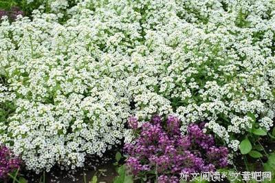 有关我的句集的句子