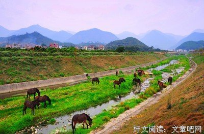美句子大全