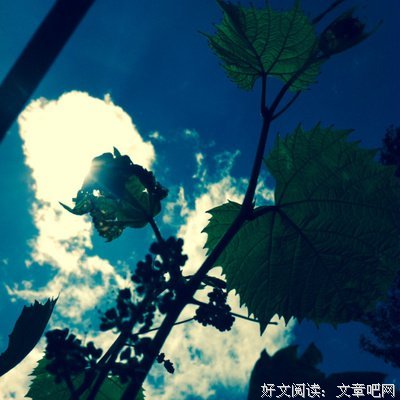 心情物语