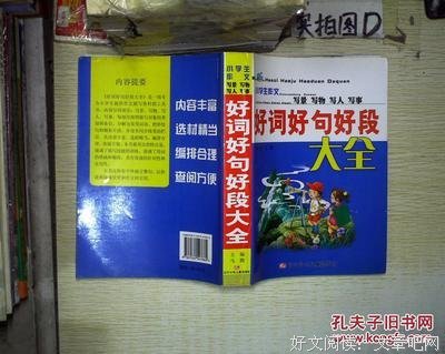 成他眼第个少年好词好句