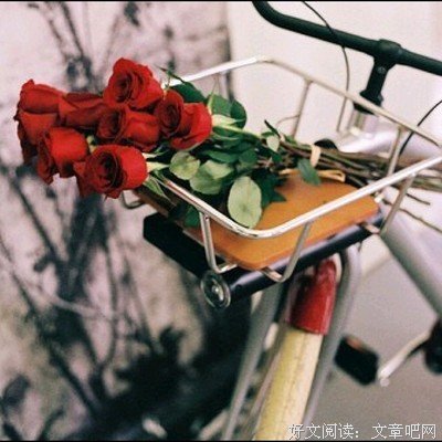 张悬名言大全