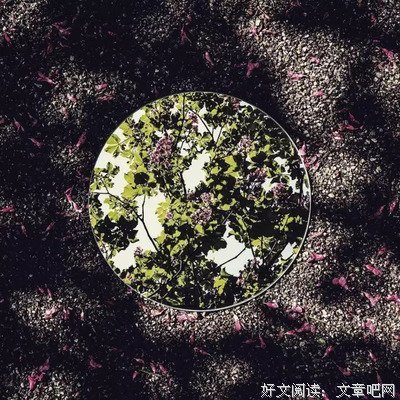 2019张枣名言大全
