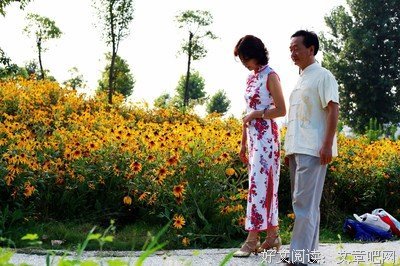 2019晚情名人名言