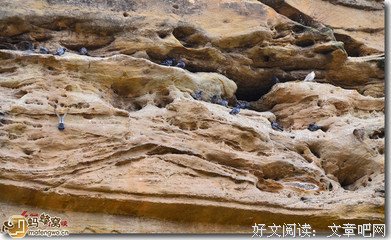 最经典的《白城的国主种人过情书》佳句摘抄