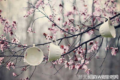最全的《穿越网潘来心音飘零》名句欣赏