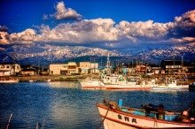 最全的《伤感美文》经典语句