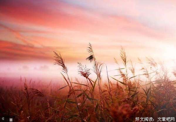 万般皆是命，半点不由人